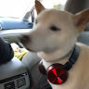 Meet your Posher, Thomas